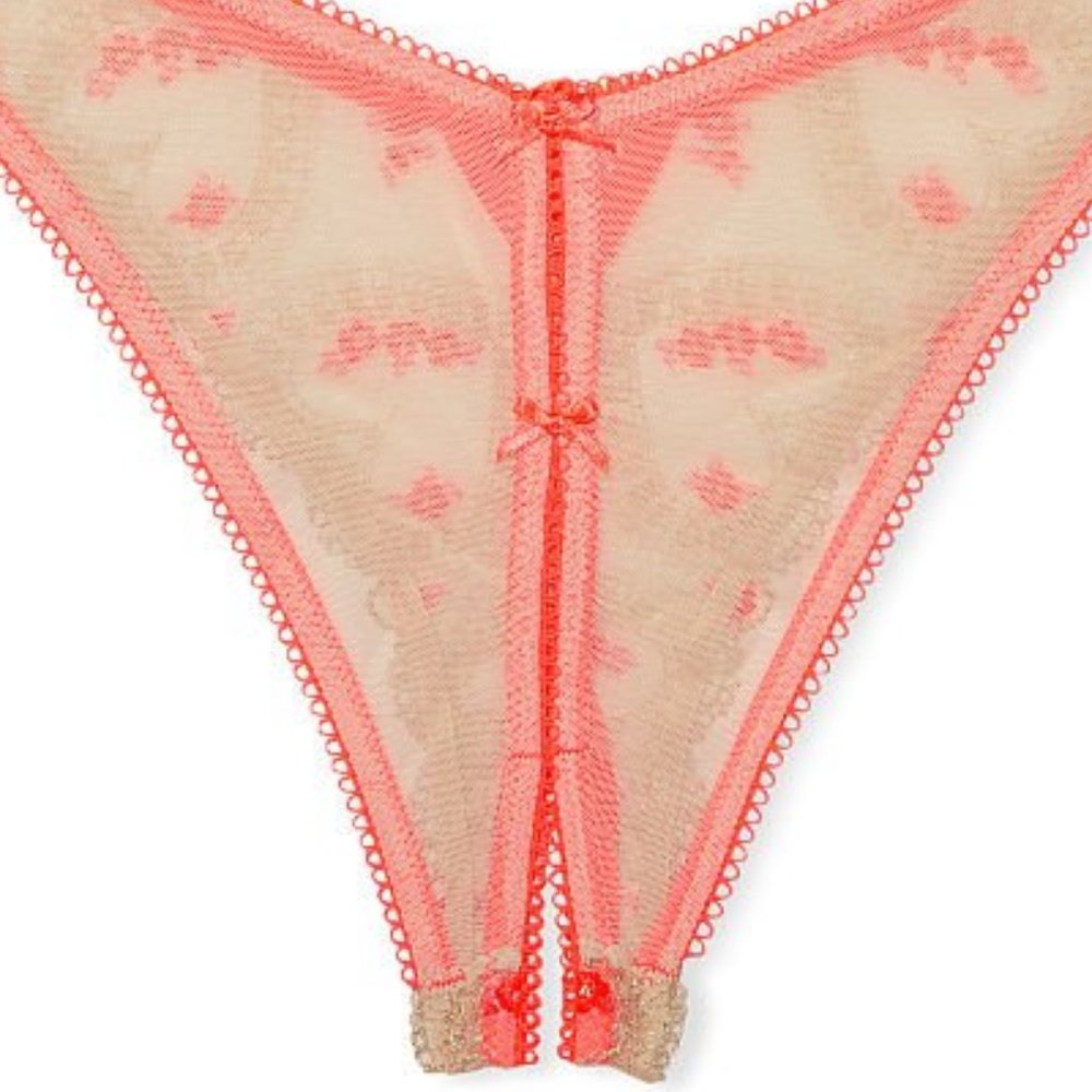 Hearts VS M DREAM ANGELS Heart Embroidery Brazillian Crotchless Panty NWT - Picture 14 of 15